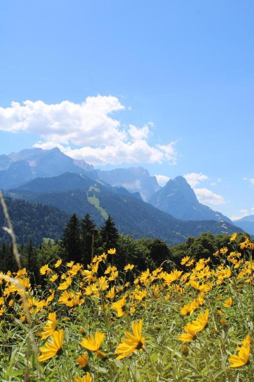 גרמיש-פרטנקירכן Pfeiffer Alm Am Sonnenhang Mit Blick Auf Die Zugspitze מראה חיצוני תמונה